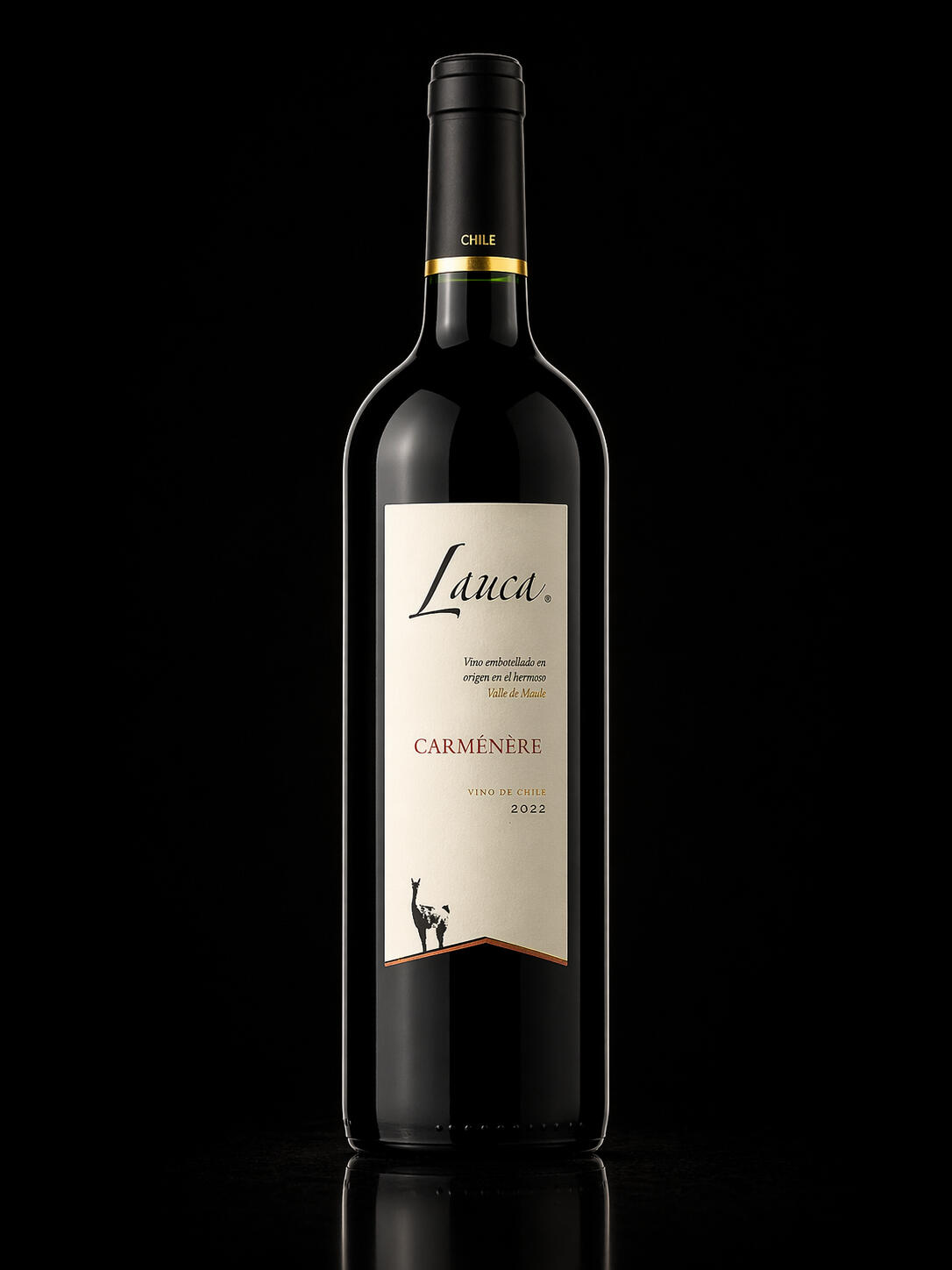 Lauca Carménère 2022 Garrafa do vinho chileno Lauca Carménère 2022, do Vale do Maule